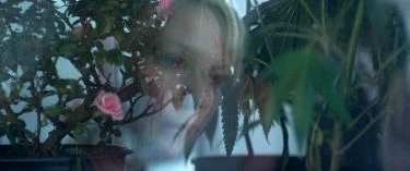 Woodshock (2017)