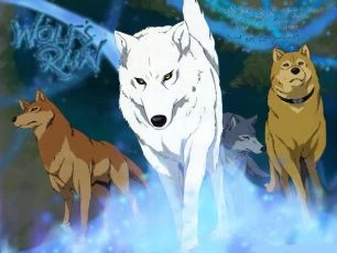 Wolf's Rain (2003) [TV seriál]