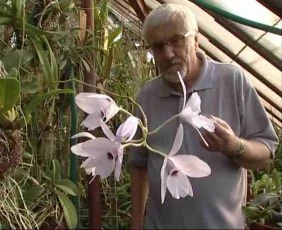 Pěstitel orchidejí (2005) [TV film]