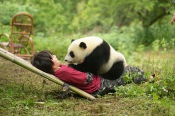 Panda a já (2025)