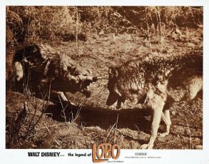 Lobo (1962)