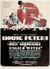 Silk Husbands and Calico Wives (1920)