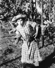 Down on the Farm (1920)