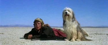 Chlapec a jeho pes (1975)