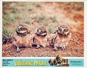 The Vanishing Prairie (1954)