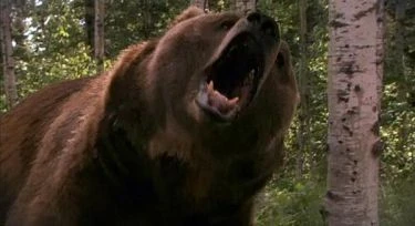 Grizzly: Pomsta šelmy (2007) [TV film]