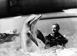 Den delfína (1973)