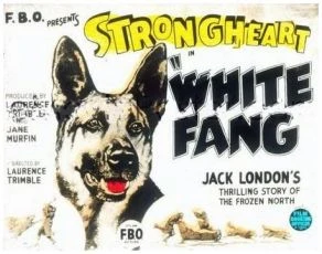 White Fang (1925)