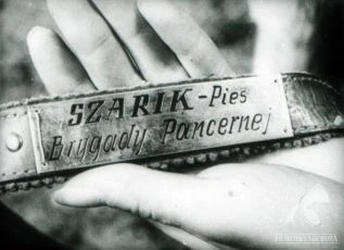 Čtyři z tanku a pes (1966) [TV seriál]