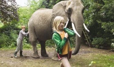 Taková nenormální rodinka / Mami, já chci slona! (2005)