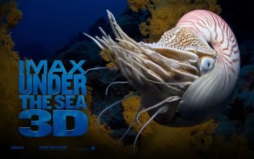 Podmořský svět  3D (2009)