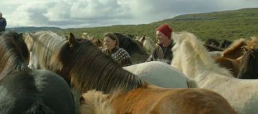 O koních a lidech (2013) [DVD kinodistribuce]