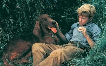 Big Red (1962)