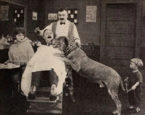 The Star Boarder (1920)