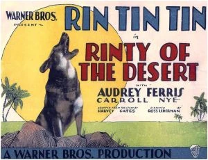Rin Tin Tin na poušti (1928)