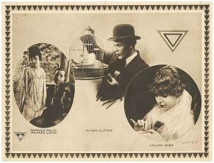The Lily and the Rose (1915)