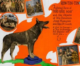 Rin-Tin-Tin zachráncem svého pána (1924)