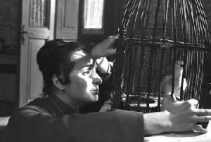 Skřivánek (1963)