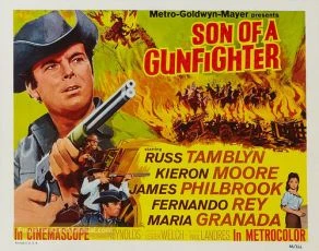 Son of a Gunfighter (1965)