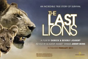 Poslední lvi (2011)