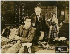 Eyes of the Forest (1923)