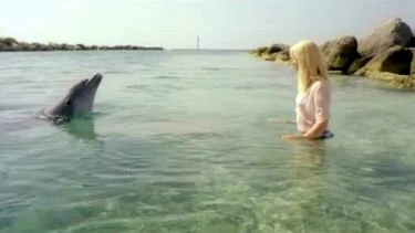 Oko delfína (2006)