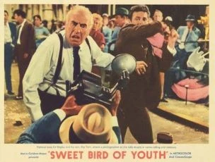 Sladký pták mládí (1962)