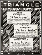 The Little Brother (1917)