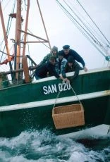 Tuleň z Sanderoogu (2006) [TV film]