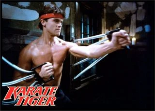 Karate tiger 1: Neustupuj, nevzdávej se (1986)
