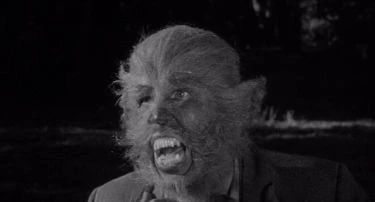 The Werewolf (1956)