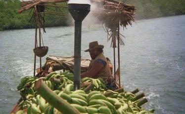 Banánový Joe (1982)
