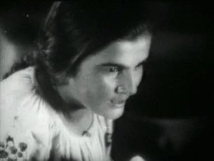 Země (1930)
