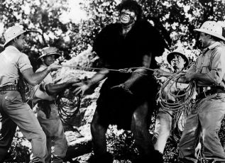 Killer Ape (1953)