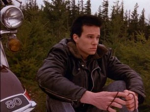 Městečko Twin Peaks (1990) [TV seriál]