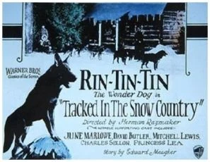 Tracked in the Snow Country (1925)