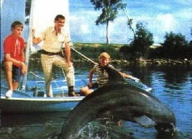 Můj přítel delfín (1964) [TV seriál]