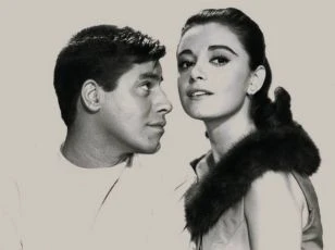 Cinderfella (1960)