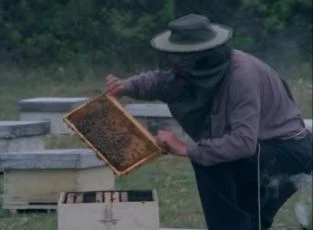Včelař (1986)