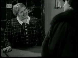 Děvče za výkladem (1937)