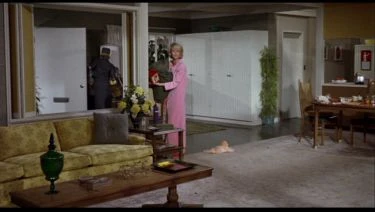 Dobrý soused Sam (1964)