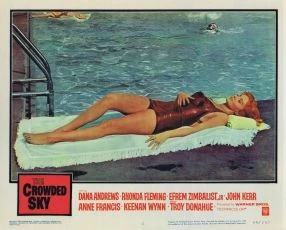 The Crowded Sky (1960)