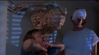 Basket Case 2 (1990)