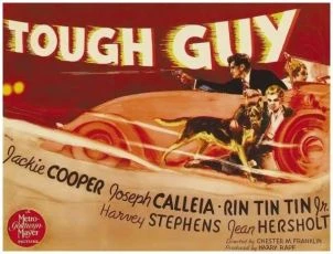 Tough Guy (1936)