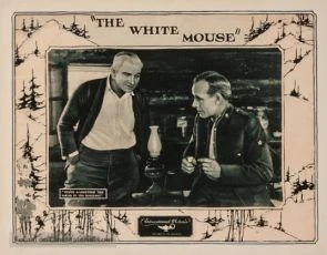 The White Mouse (1914)