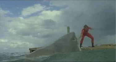 Poslední žralok (1981)
