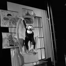 Jedničky má papoušek (1979) [TV inscenace]