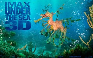 Podmořský svět  3D (2009)