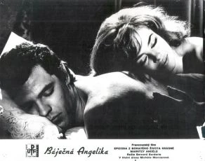 Báječná Angelika (1964)