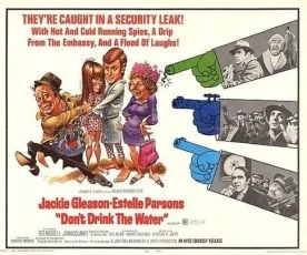 Don't Drink the Water (1969)